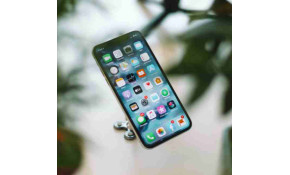 Social networks that want to save the planet Social networks that want to save the planet