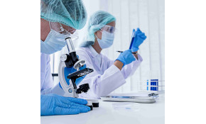 Solar energy: a revolution with graphene and molybdenite? Solar energy: a revolution with graphene and molybdenite?