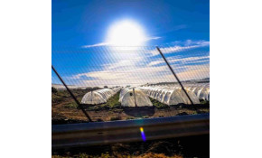 Associate effectively energy production with agriculture Associate effectively energy production with agriculture